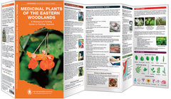 MEDICINAL PLANTS OF THE EASTERN WOODLANDS - PATHFINDER OUTDOOR SURVIVAL GUIDE - Trailfinder