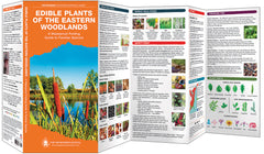 EDIBLE PLANTS OF THE EASTERN WOODLANDS - PATHFINDER OUTDOOR SURVIVAL GUIDE - Trailfinder