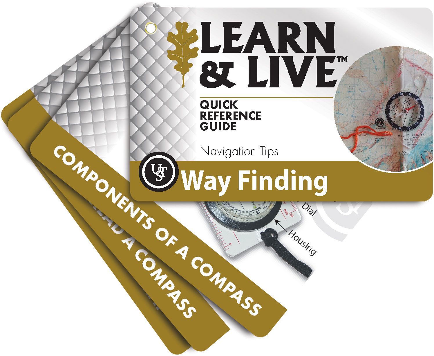 LEARN & LIVE CARDS - WAY FINDING